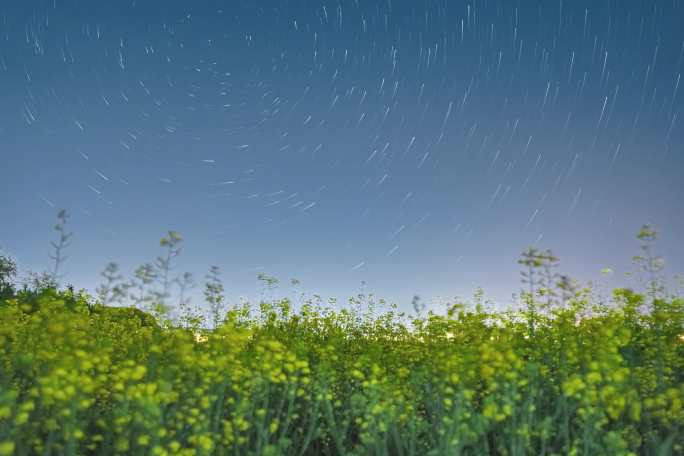 春天的夜晚，油菜花星空轨迹延时摄影