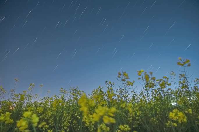 春天的夜晚，油菜花星空轨迹延时摄影