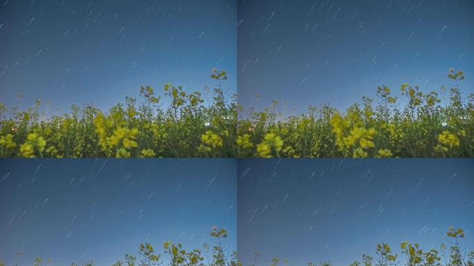 春天的夜晚，油菜花星空轨迹延时摄影