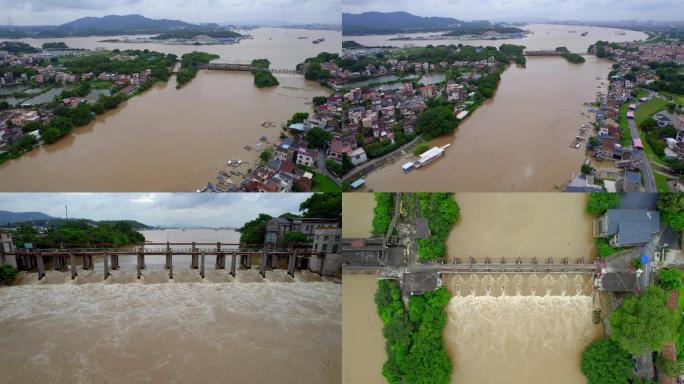 西江洪水，珠江洪水