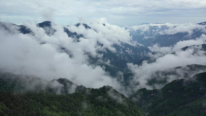 原创 湖北神农架神农顶云雾缭绕自然风光