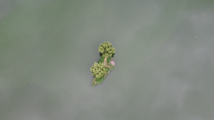 潮白河 孤岛 绿水 航拍 城市 两棵树