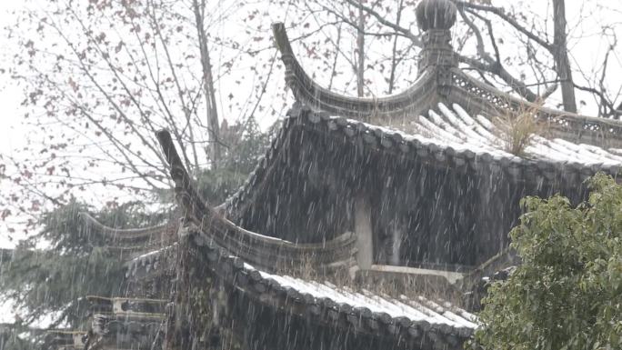 江南古建筑屋檐冬天下雪雪花黑白西施殿