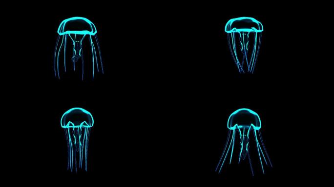 4K蓝色全息投影水母动画素材带通道