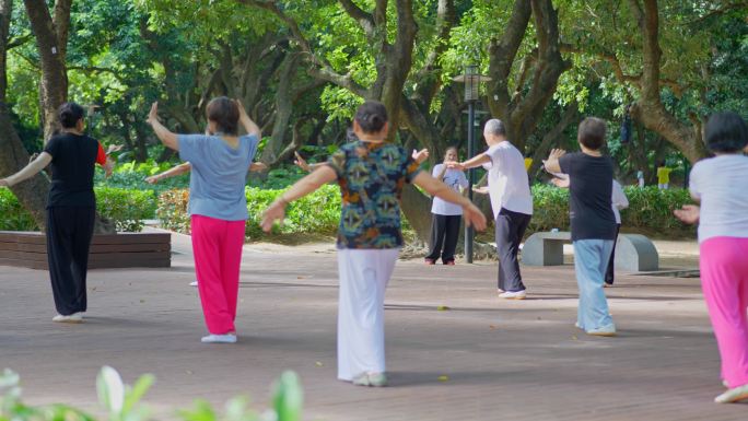 4K公园老年人锻炼健身晨练视频素材