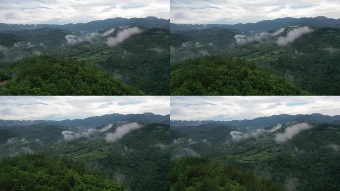 原创 湖北襄阳市梯田乡村田园山区自然风光