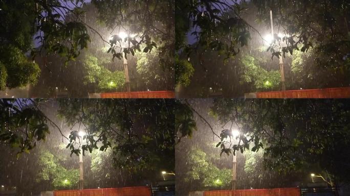 深夜下雨天上下雨树叶雨点雨滴光影树叶背景