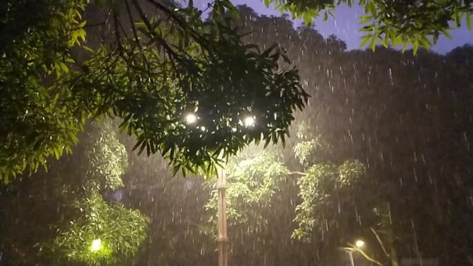 深夜下雨树叶雨点雨滴路灯光影树叶背景