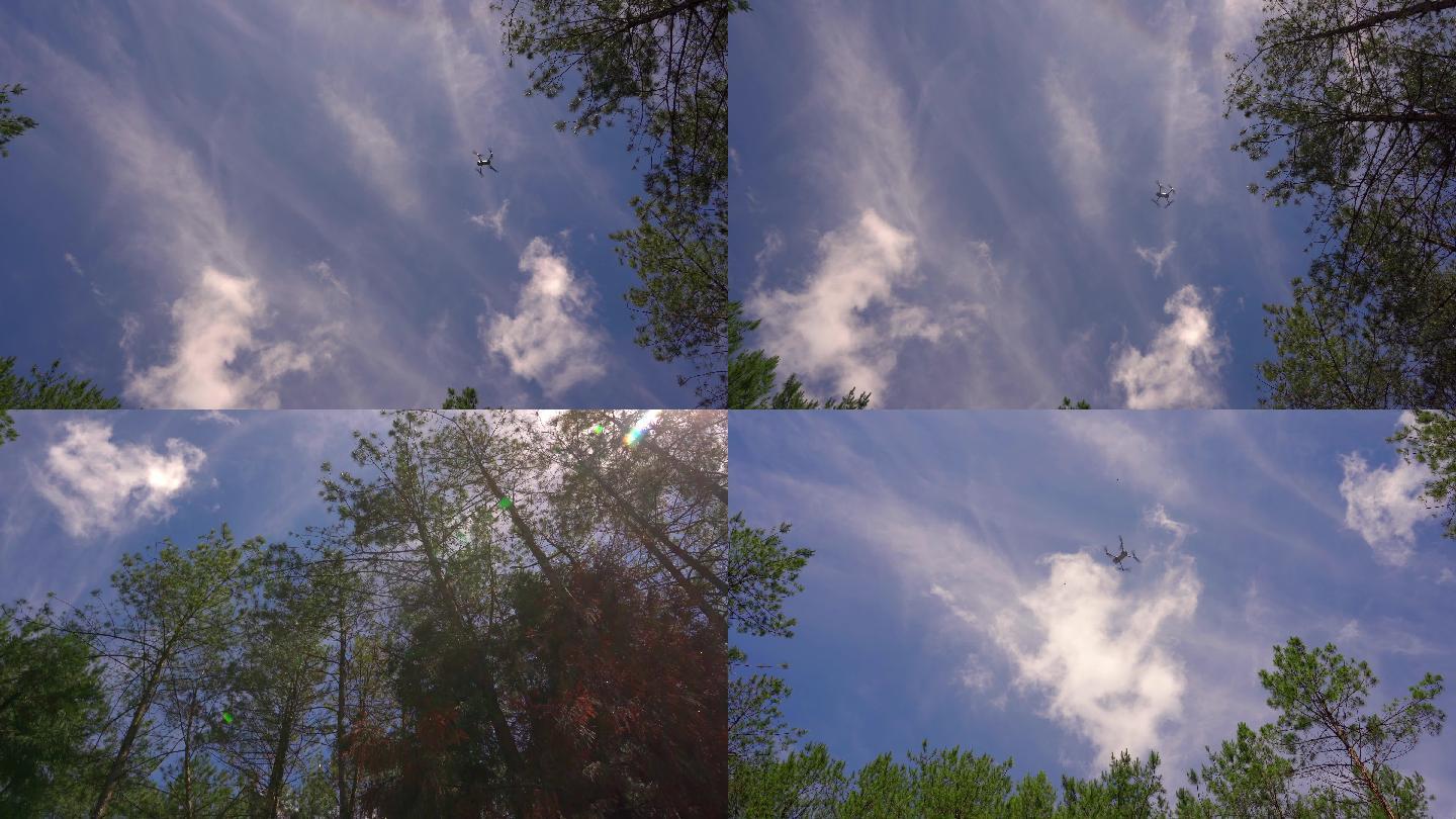 无人机在森林上空飞行