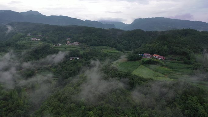 原创 湖北襄阳市梯田乡村田园山区自然风光