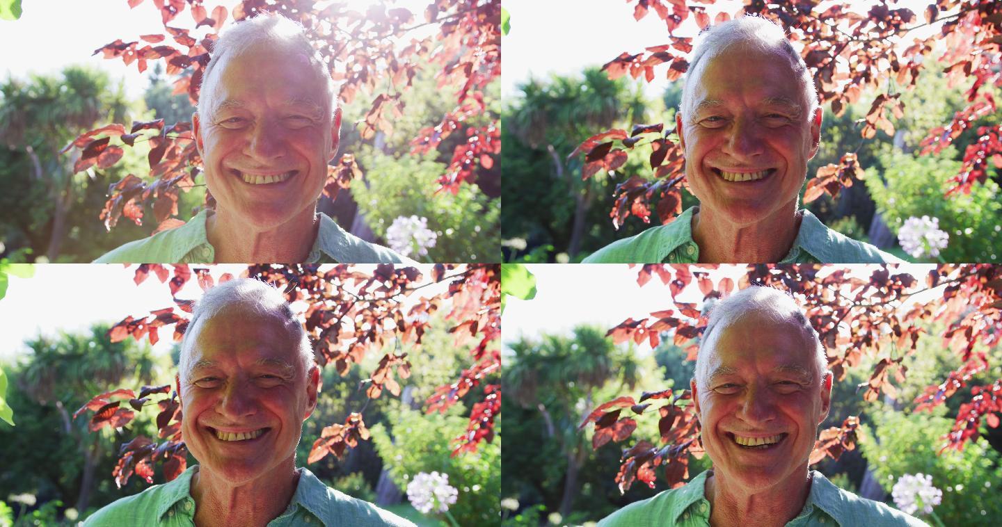 幸福的白人老人的肖像在花园微笑在阳光下