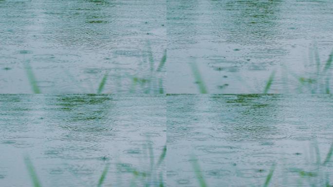 湖面水面下雨-雨滴涟漪