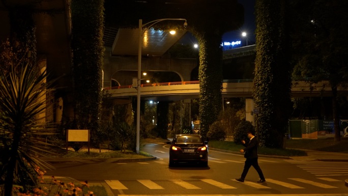 夜晚城市立交桥下的车辆行人