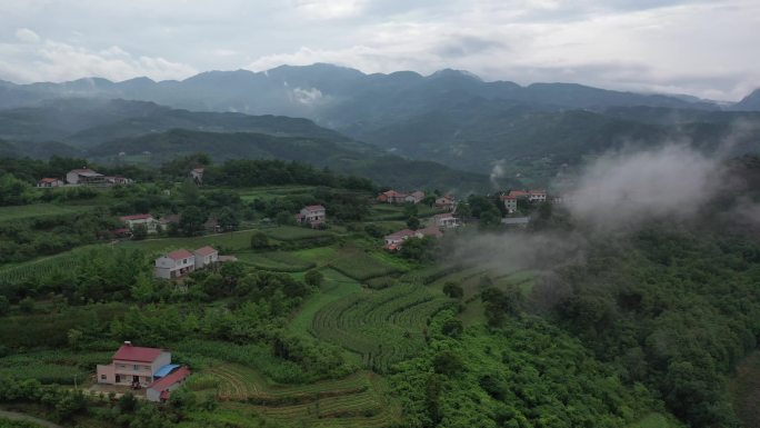 原创 湖北襄阳市梯田乡村田园山区自然风光