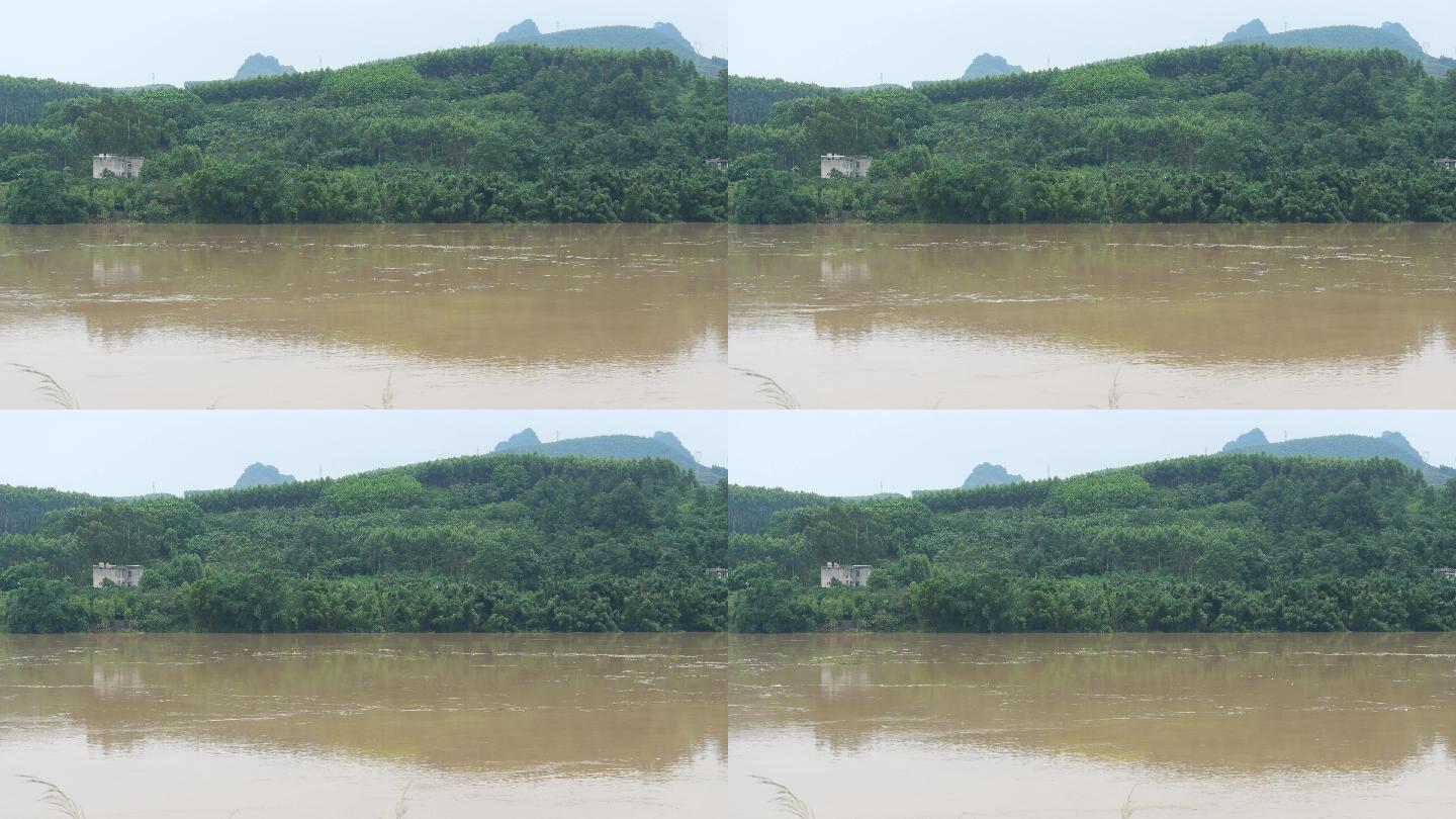 河边洪水