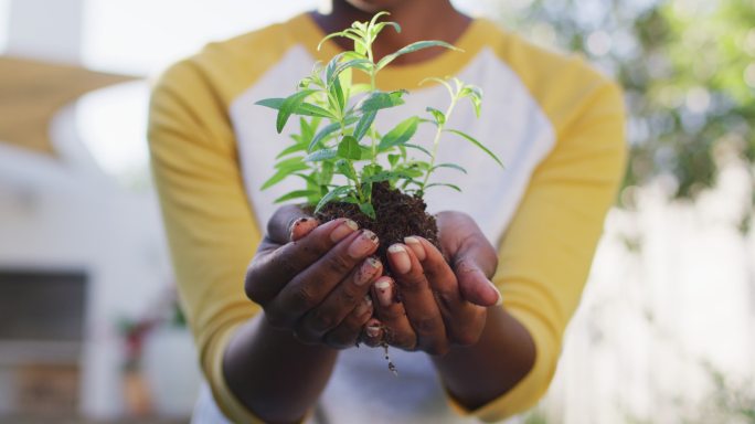 非裔美国妇女手中拿着植物