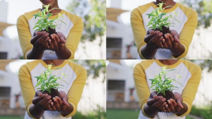 非裔美国妇女手中拿着植物
