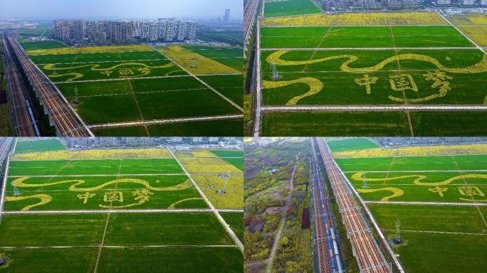 铁路旁的田野里有中国梦的图案