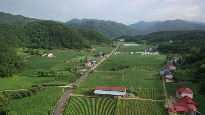 湖北宜昌市兴山县郭家店乡村田野自然风光