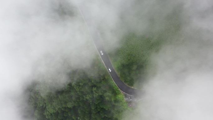 原创 湖北神农架神农顶云雾缭绕航拍公路