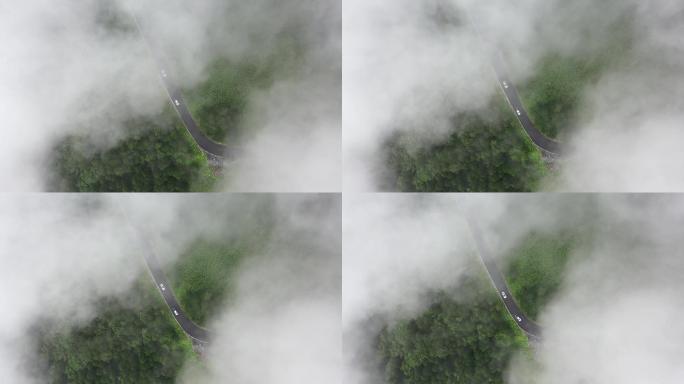 原创 湖北神农架神农顶云雾缭绕航拍公路