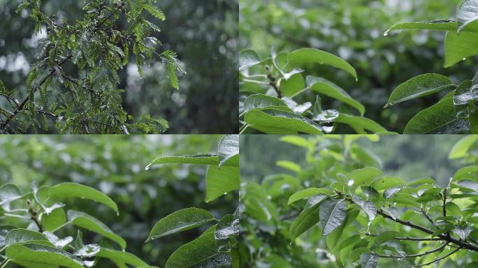 下雨天素材