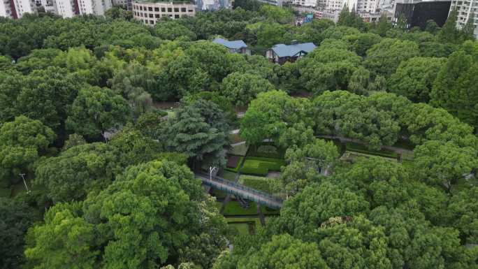 上海徐家汇公园4K航拍