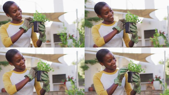 快乐的非裔美国妇女在花园里手持盆栽植物