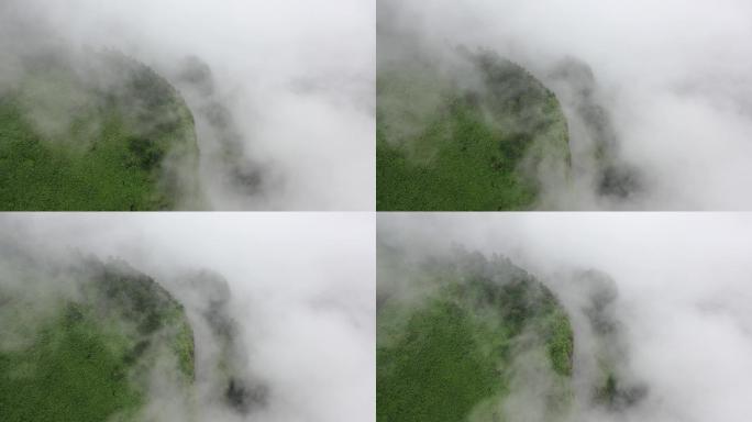 原创 湖北神农架神农顶云雾缭绕自然风光