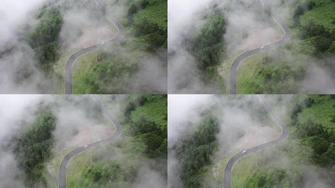 原创 湖北神农架神农顶云雾缭绕航拍公路