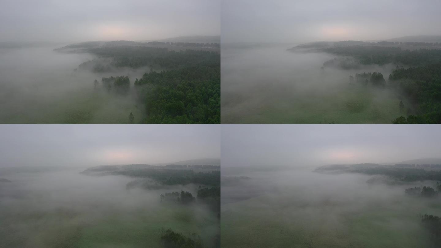 航拍 东北 林区 晨雾 中央站  雾湿地