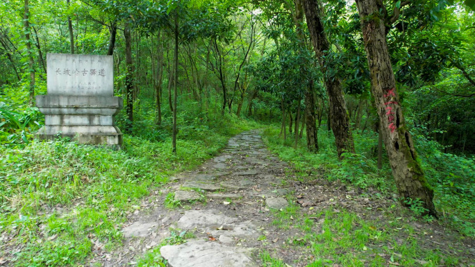 茶马古道古驿道长坡岭森林公园