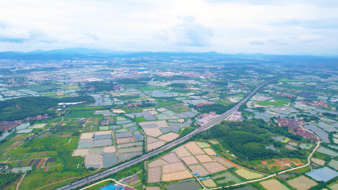 航拍佛山高明西江平沙岛