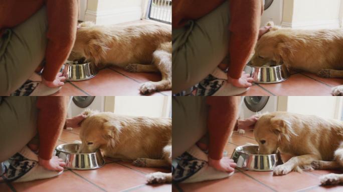白人妇女抚摸着她的宠物狗吃碗在家里的厨房