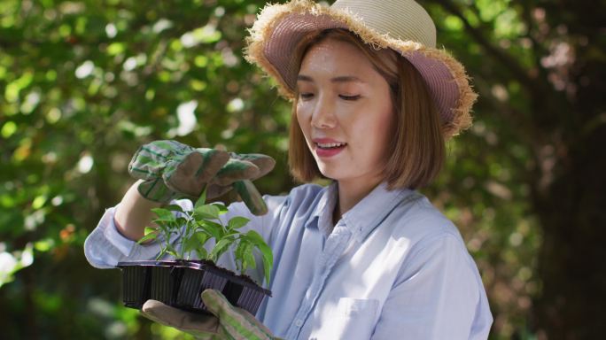 亚洲妇女园艺和微笑在阳光明媚的日子