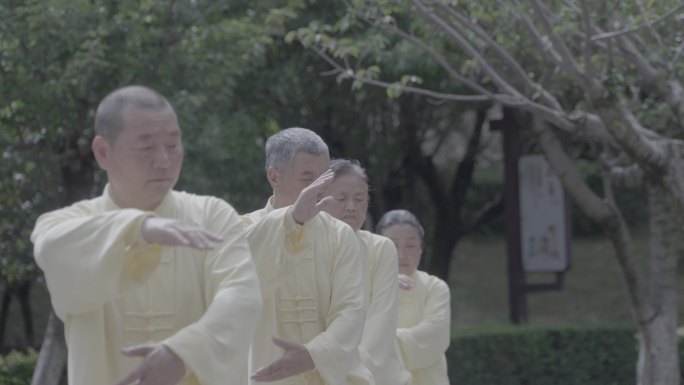 【4K】老年人公园打太极拳健身