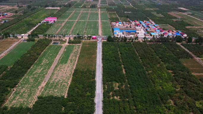 宁夏中卫果蔬种植基地