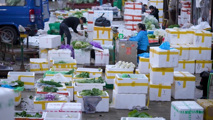 蔬菜物流园集散基地+汇总&已调色