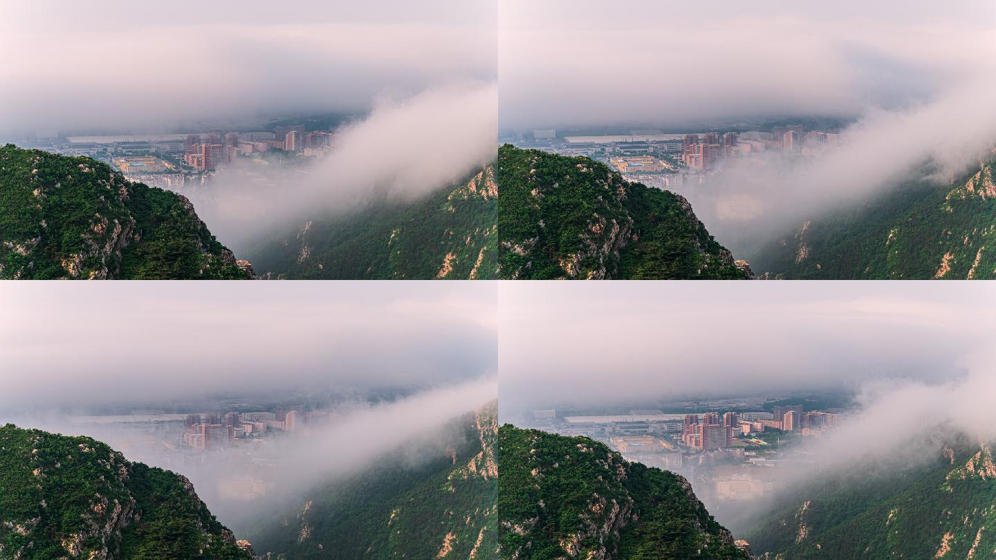 大连金州山顶俯瞰城市平流雾，绝美云潮！
