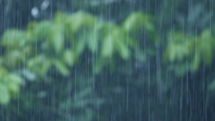 下大雨