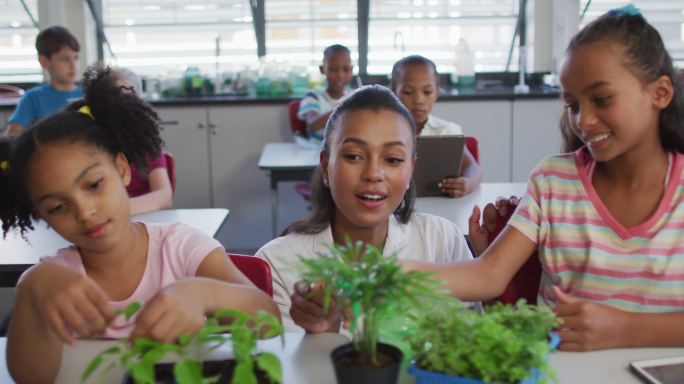 在自然研究课上，不同的学生和老师带着植物走进教室