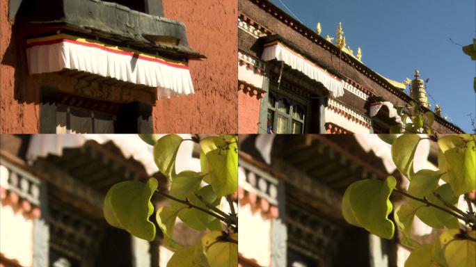 建筑 风土人情 特色建筑 西藏