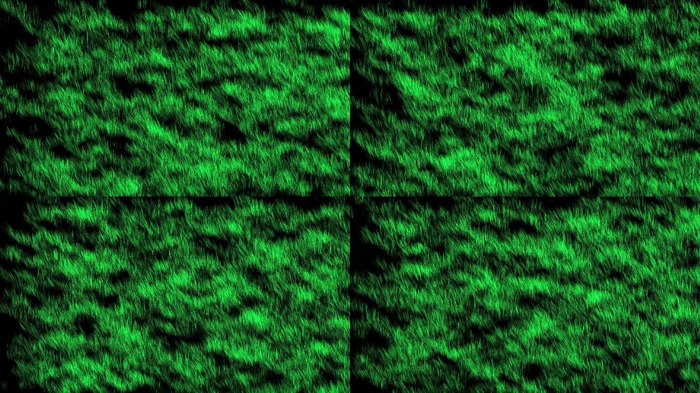 青青草_1920X1080_高清视频素材下载(编号:1312818)_实拍视频_光厂(VJ师网) www.vjshi.com