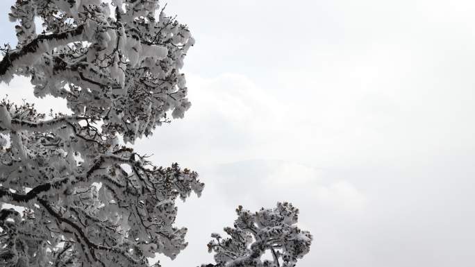 鸡足山雪景寺庙