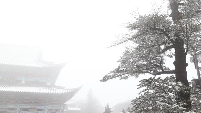 雪中鸡足山