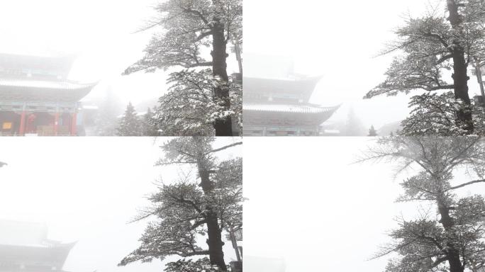 雪中鸡足山