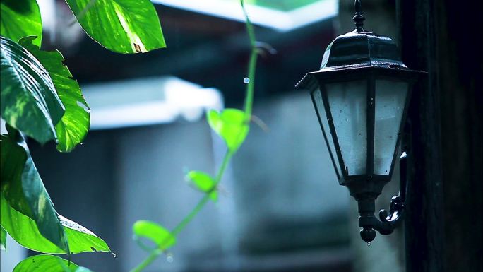 下雨 城市 意境 街拍