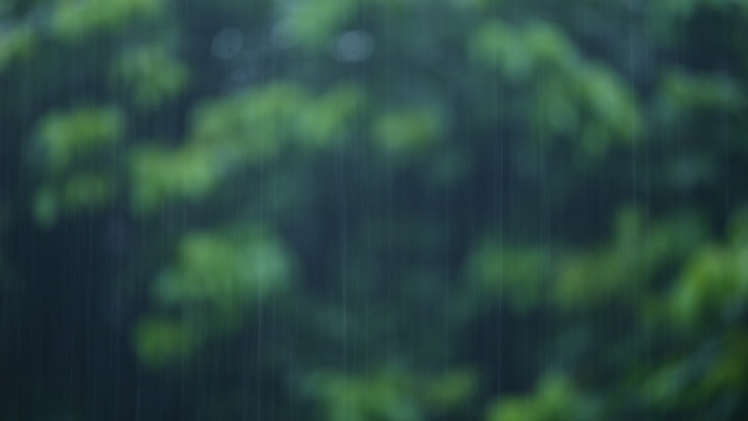 下雨 雨丝 雨景  雨