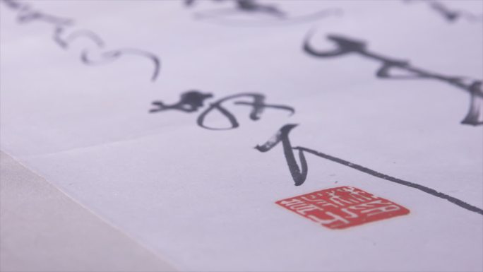 林散之书法字画作品展示特写A014