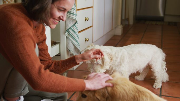 微笑的白人妇女抚摸她的宠物狗吃碗在家里的厨房